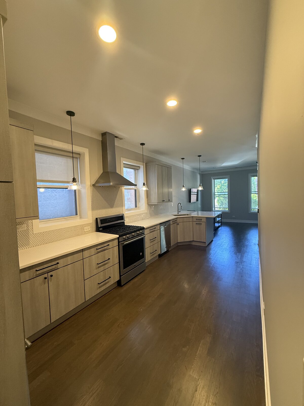 Open-concept kitchen remodel with flat-panel cabinets, stainless hood and dark hardwood floors